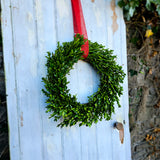 Preserved boxwood wreath large