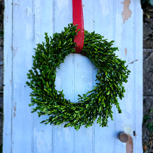 Preserved boxwood wreath large