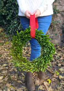 Preserved boxwood wreath large