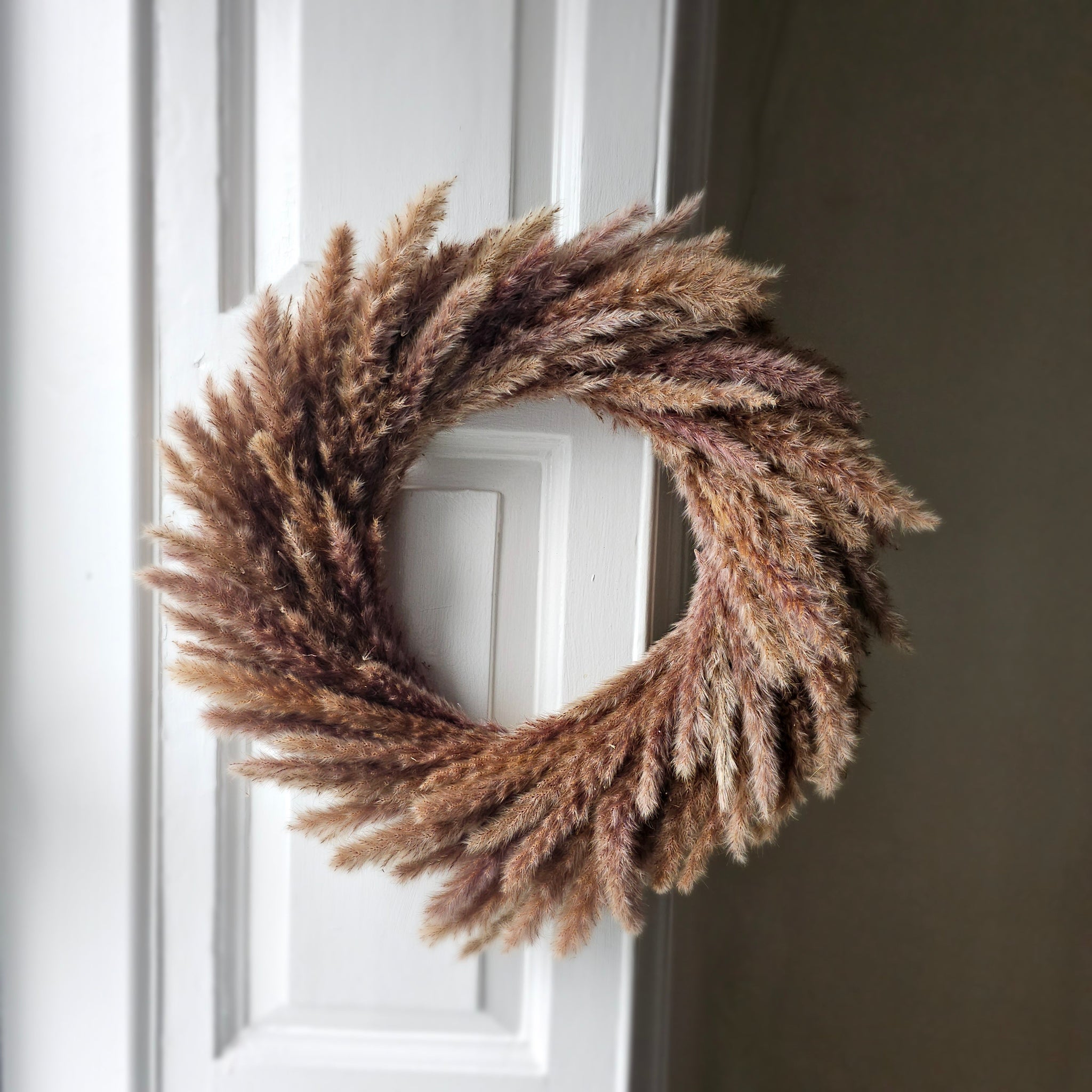 Pampas Grass wreath 50cm